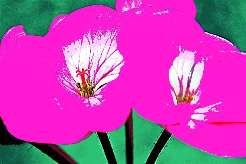 une fleur de géranium rose mixed media par Werner Lehmann