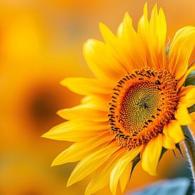 Geel natuur landschap zonnebloemen van PixelPrestige