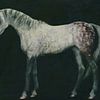 Arabisches Pferd aufrecht von Jan Keteleer
