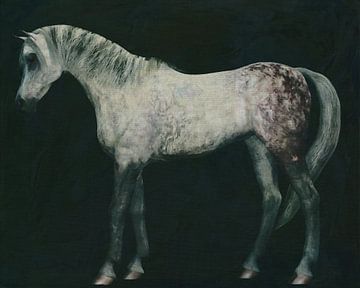 Arabisch paard rechtop van Jan Keteleer