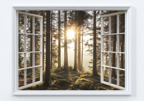 uitzicht op het bos vanuit de woonkamer