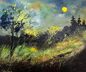 Moonshine sur pol ledent