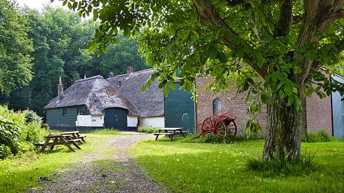 Atmosphärische Betuwe