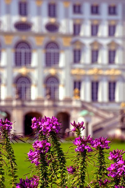 Flowers of Castle Nymphenburg Munich by Photoart-Naegele