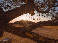 Spitzkoppe in Namibië, Afrika