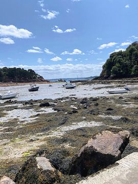 Bretagne uitzicht op rotsen en bootjes van Sarah Goessens