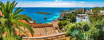 Prachtig panorama-uitzicht aan de kust van Calvia op Mallorca van Alex Winter