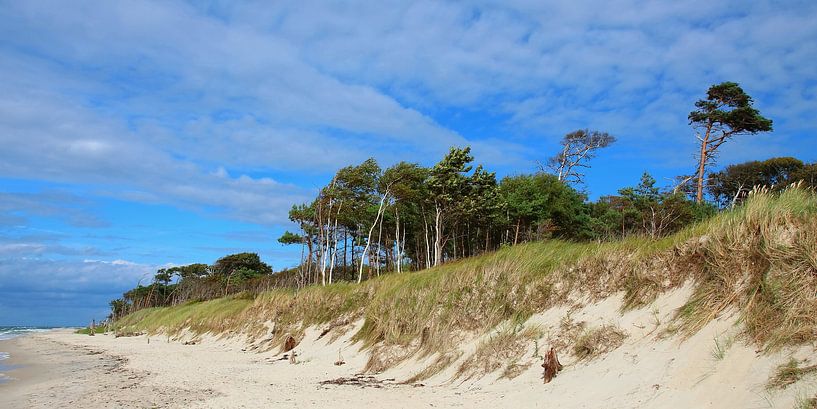 Weststrandpanorama von Ostsee Bilder