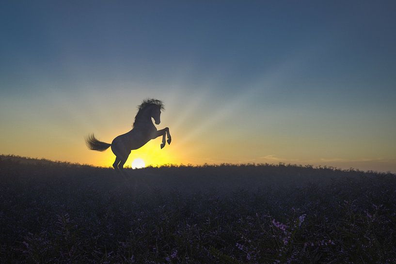 Aufsteigendes Pferd auf der Heide in der Morgendämmerung von Arjen Roos