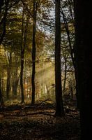 Zonsopkomst