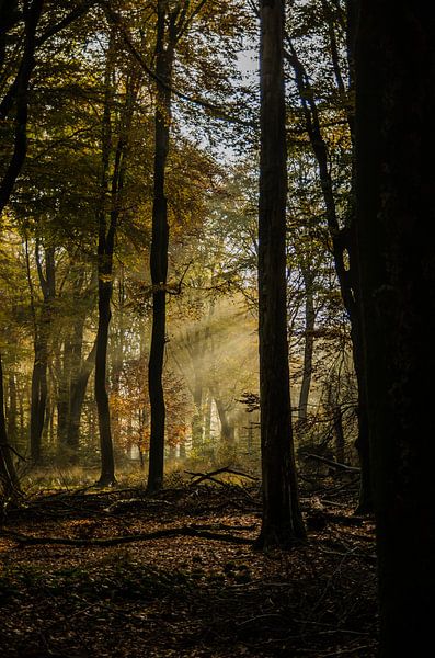 Zonsopkomst van Jan Hagen