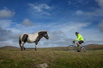 Ontmoeting wielrijder en pony op de heide van Dartmoor van Albert Brunsting