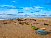 Kwallen op het strand aan de Noordzee van Animaflora PicsStock thumbnail