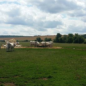 Frankrijk (2017), landschap in Verdun von Harm Bosma