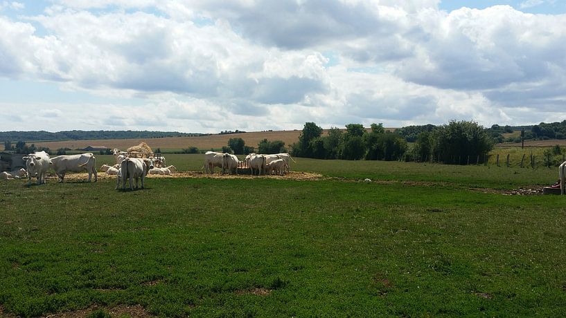 Frankrijk (2017), landschap in Verdun by Harm Bosma