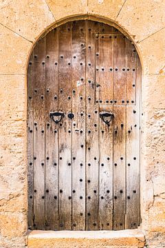 Close-up van oude verweerde houten voordeur van Alex Winter