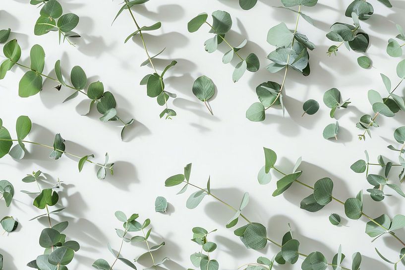 Eucalyptus branches by Poster Art Shop