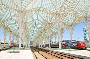 Treinstation Lissabon do Oriente (Ooststation) van Rutger Jongejan