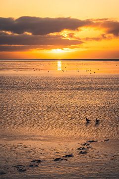 Zonsondergang boven de Noordzee