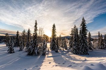 Lever de soleil en Laponie // Lappland, Suède