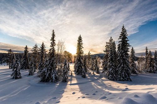 Sonnenaufgang in Lappland // Lappland, Schweden