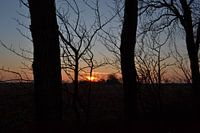 Zonsondergang bij Liauckemastate