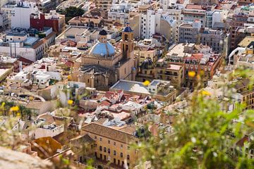 Paysage de la ville d'Alicante avec la cathédrale sur Paul van Putten