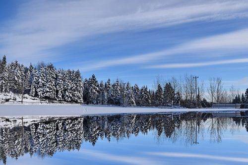 Reflet sur le lac en hiver