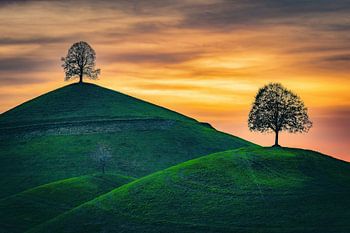 Between sky and hill