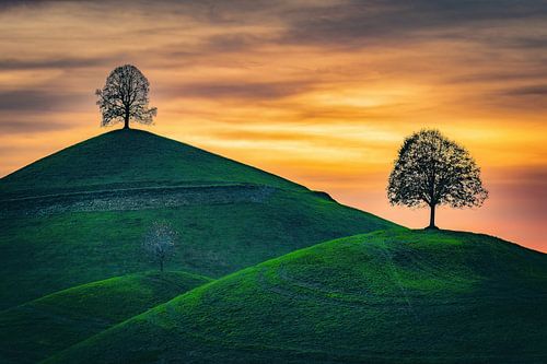 Zwischen Himmel und Hügel