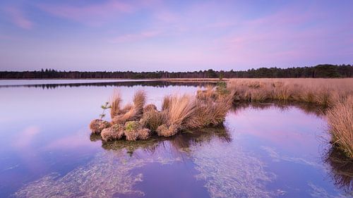 Strabrechtse Heide 285