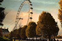 Londoner Auge