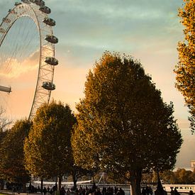 London eye van Marco & Lisanne Klooster