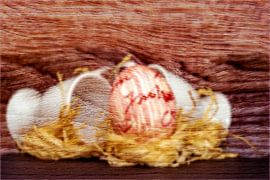 Concept easter : Easter by Photoart-Naegele