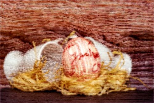 Concept easter : Easter