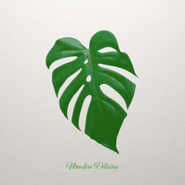 Monstera deliciosa by beangrphx Illustration and paintings