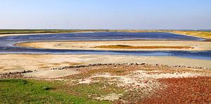 Plan Tureluur - Schouwen Duiveland