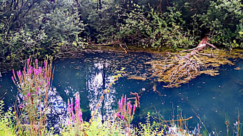 Blauer Teich in einem Park mit Fotofilter "Malerei". Parc de la Bouvaque, Rouen, Frankreic