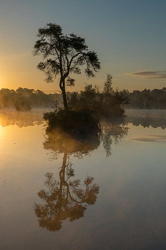 Op zijn eigen eilandje