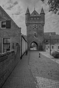 De Dijkpoort in hanzestad Hattem van Peter Bartelings