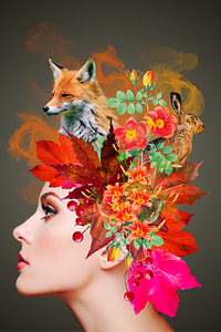 Les couleurs de l'automne