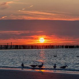 Coucher de soleil sur Henk Verstraaten