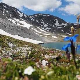 Die majestätische Bergwelt rund um den Piz Rims in Südtirol von Miriam Schwarzfischer Fotografie