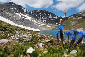 Les montagnes majestueuses autour du Piz Rims dans le Tyrol du Sud sur Miriam Schwarzfischer Fotografie
