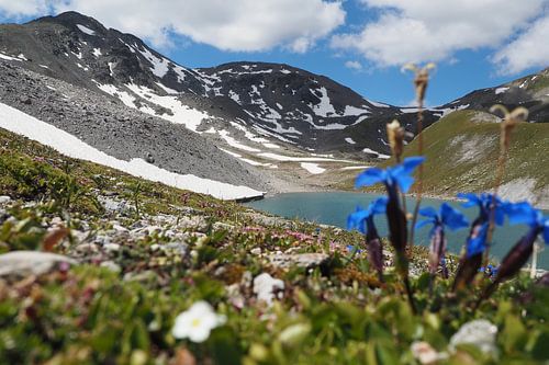 De majestueuze bergwereld rond Piz Rims in Zuid-Tirol