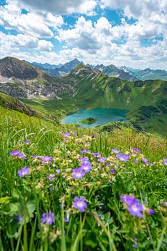 Bloemrijk uitzicht op de Schrecksee en de Hochvogel in de Allgäuer Alpen van Leo Schindzielorz