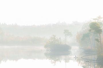 Zonsopkomst  bij het Voorste Goorven van Miranda Rijnen Fotografie