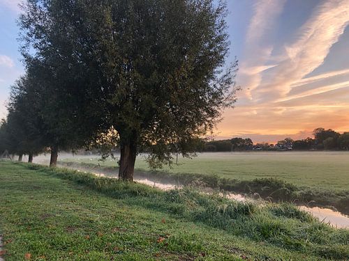 Natuurschoon sur Marcel Ter Horst