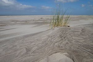 Het strand.. stil en verlaten