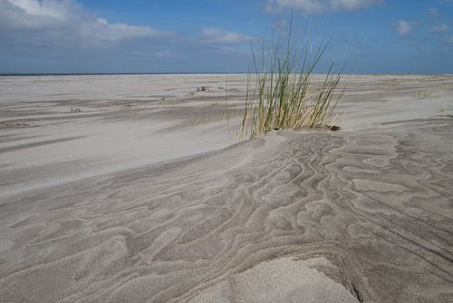 Het strand.. stil en verlaten